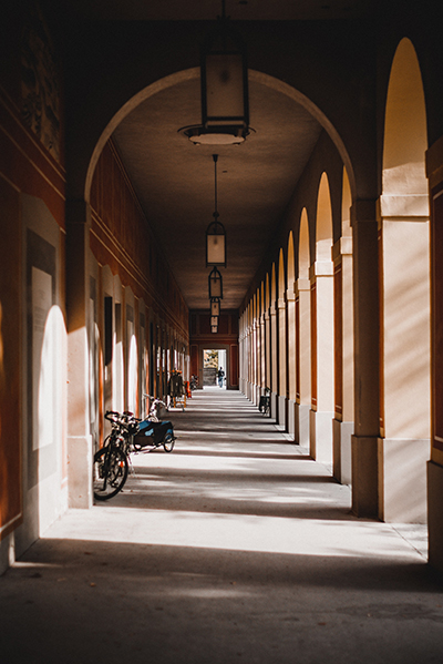 Seightseeing in und um München